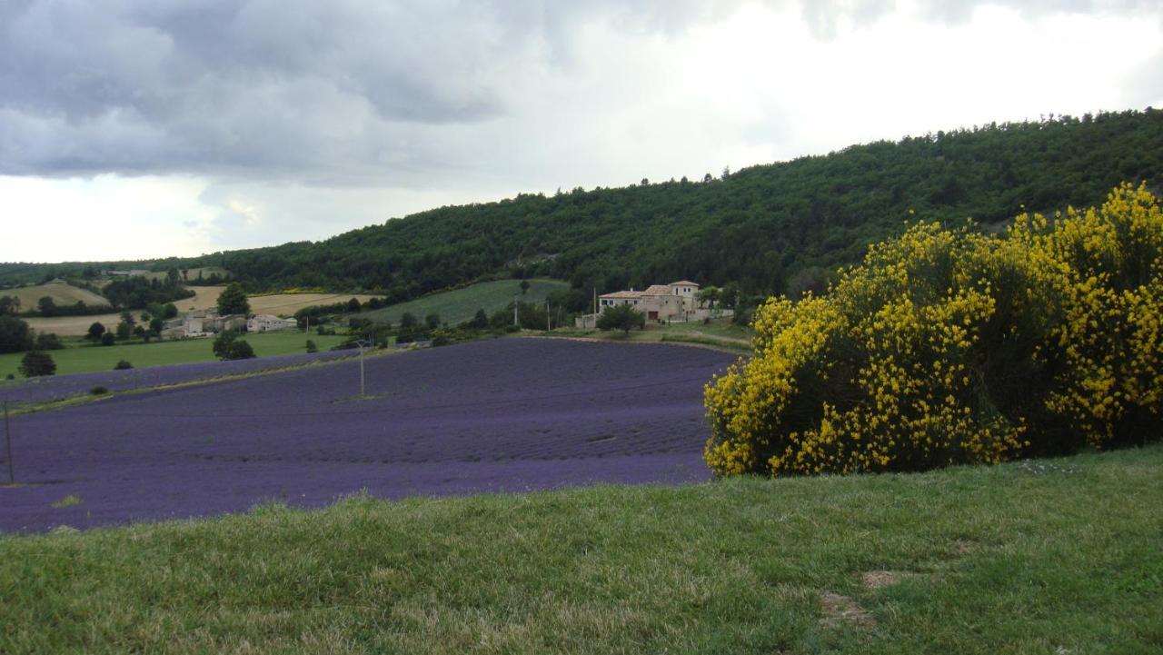 La Maison Bleue Sault-de-Vaucluse Luaran gambar